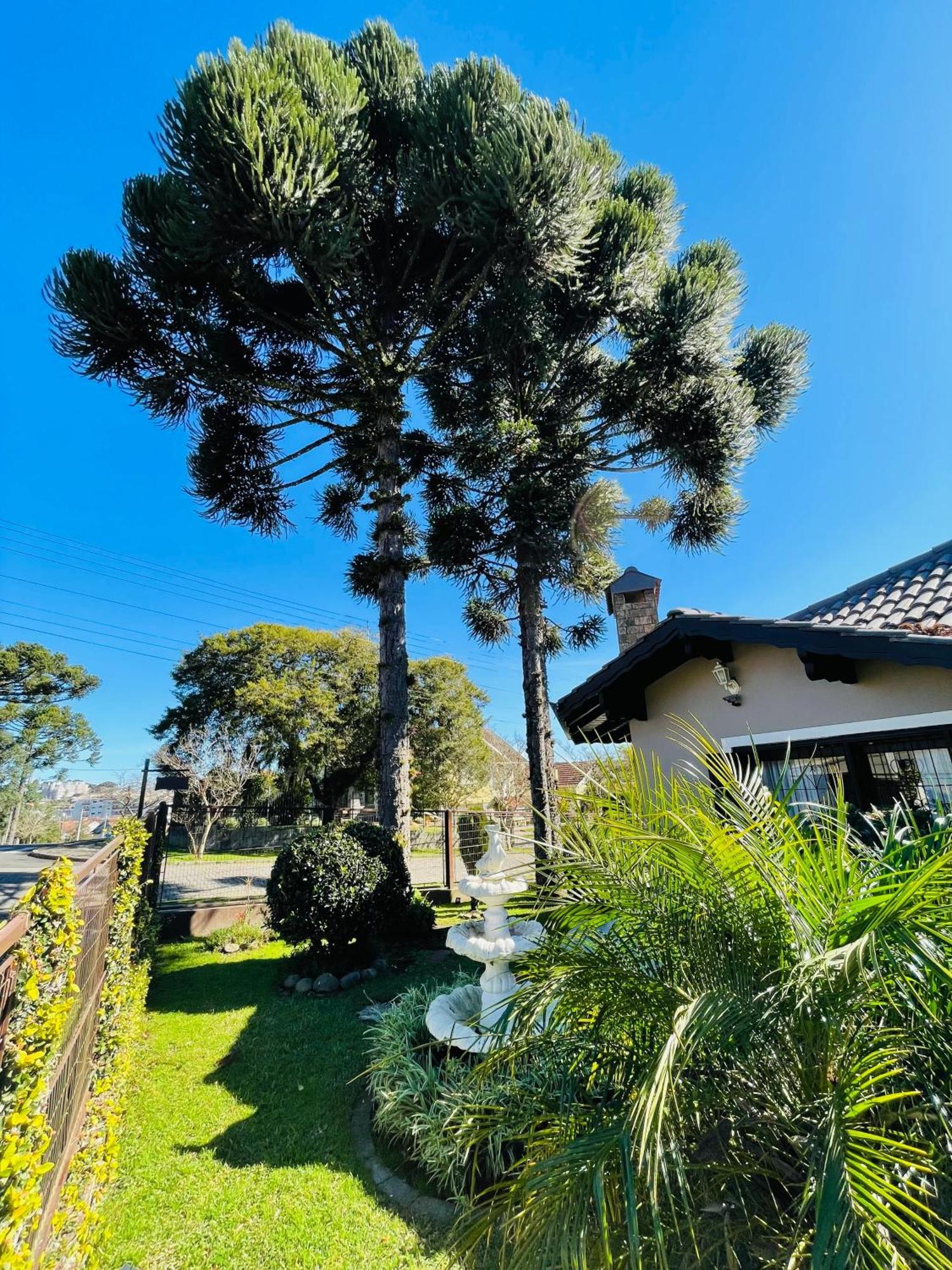 Готель Residencial Pine House Канела Екстер'єр фото